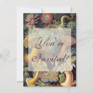 Meeresanemone Wissenschaftlicher Natur Einladung