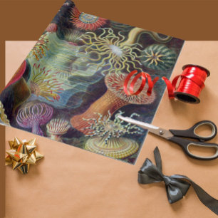 Meeresanemone Wissenschaftlicher Natur Geschenkpapier