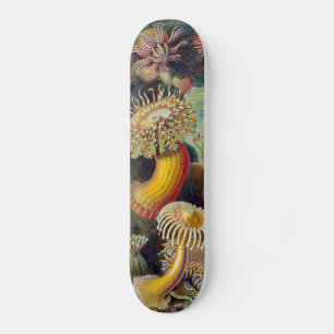 Meeresanemone Wissenschaftlicher Natur Skateboard