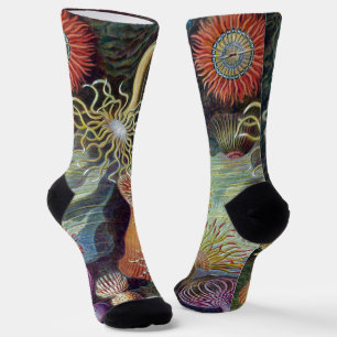 Meeresanemone Wissenschaftlicher Natur Socken