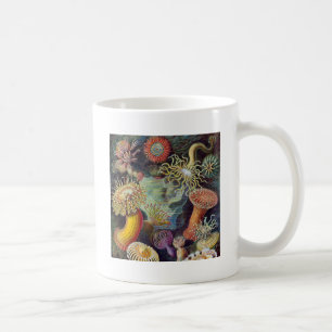Meeresanemone Wissenschaftlicher Natur Tasse
