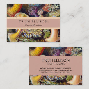 Meeresanemone Wissenschaftlicher Natur Visitenkarte