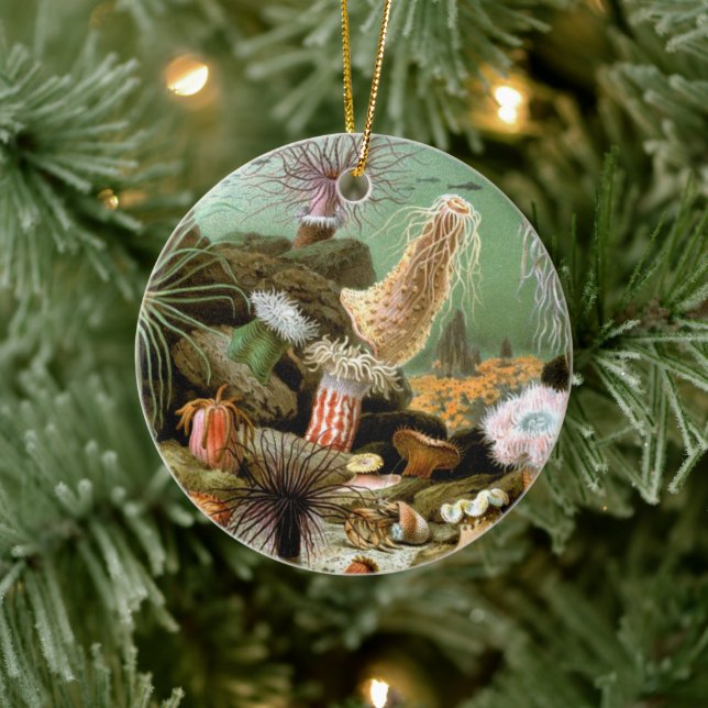 Meeresanemonen, Vintage Meerestiere Keramikornament (Baum)