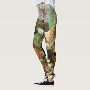 Meeresanemonen, Vintage Meerestiere Leggings