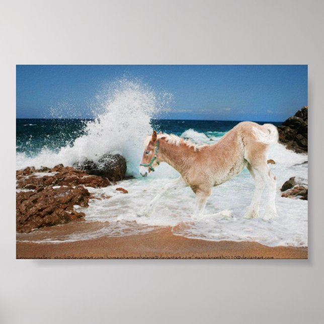 Meeresboden Poster (Vorne)