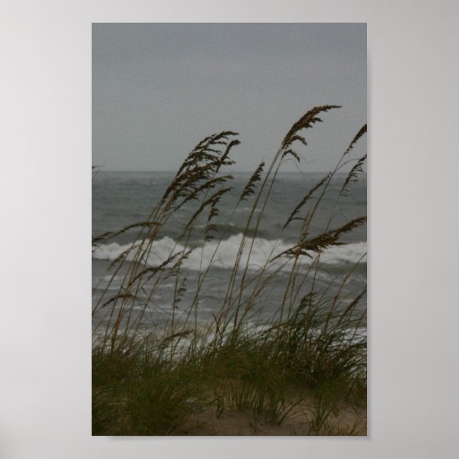 Meeresbrise Poster (Vorne)