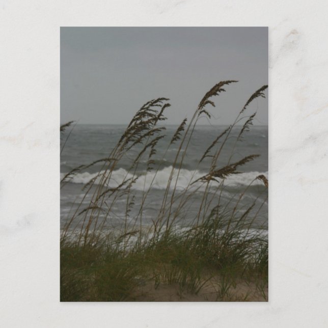 Meeresbrise Postkarte (Vorderseite)