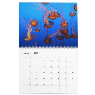 Meeresflora und -fauna kalender