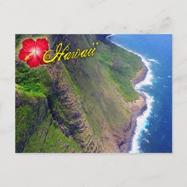 Meeresklippen in Molokai, Hawaii Postkarte (Vorderseite)