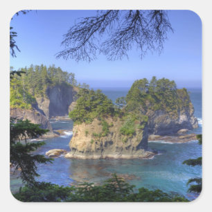Meeresklippen, Makah Nation Stammesgebiet, Kap Quadratischer Aufkleber