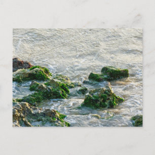 Meereslandschaft Postkarte