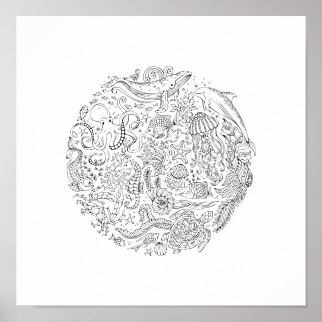 Meeresleben | Dekorationspopster Poster (Vorne)