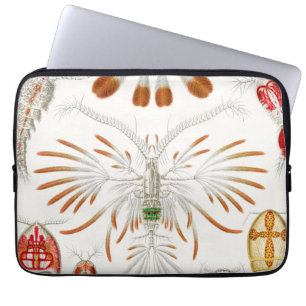 Meeresleben Krebstiere, Copepoda von Ernst Haeckel Laptopschutzhülle