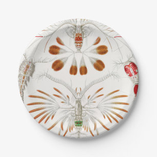 Meeresleben Krebstiere, Copepoda von Ernst Haeckel Pappteller