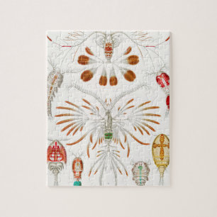 Meeresleben Krebstiere, Copepoda von Ernst Haeckel Puzzle