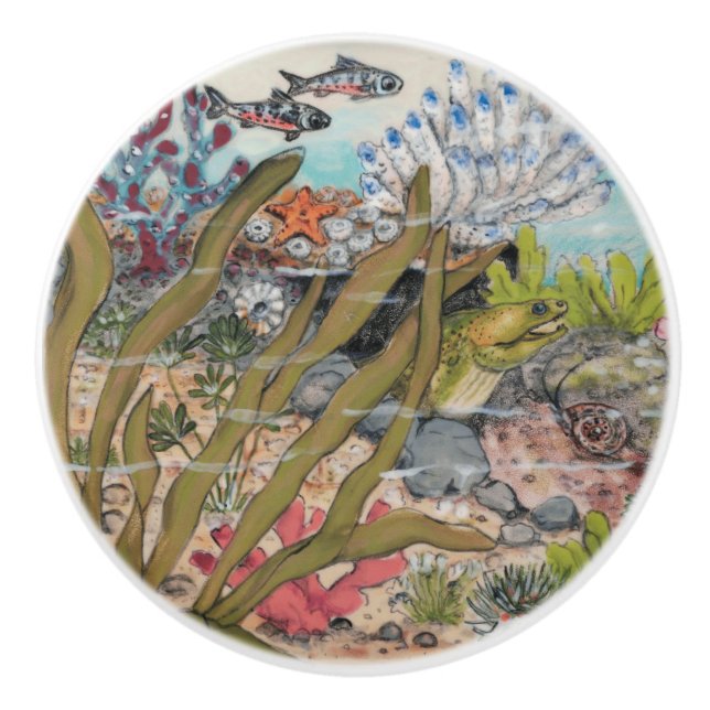 Meeresleben Moray Eel Fisch Unterwasser Keramikknauf (Vorderseite)