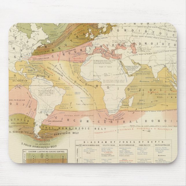 Meeresleben Mousepad (Vorne)