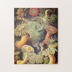 Meeresleben Puzzle