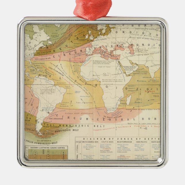 Meeresleben Silbernes Ornament (Vorne)