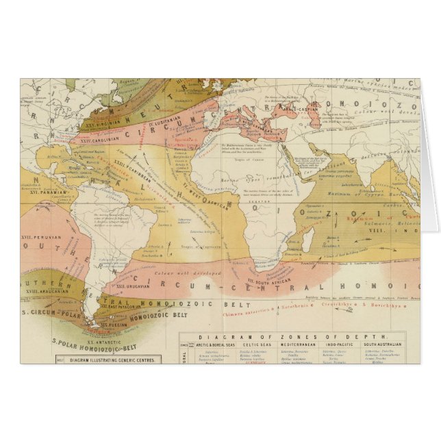 Meereslebewesen (Vorderseite (Horizontal))