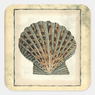 Meereslebewesen an der Küste Quadratischer Aufkleber