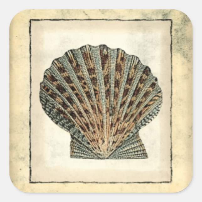 Meereslebewesen an der Küste Quadratischer Aufkleber (Vorderseite)