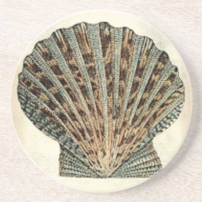 Meereslebewesen an der Küste Untersetzer (Vorne)