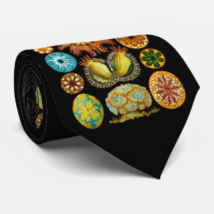 Meereslebewesen drucken krawatte