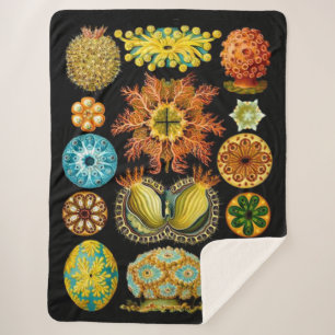 Meereslebewesen drucken sherpadecke