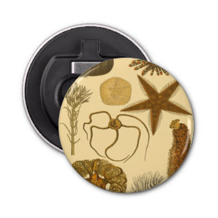 Meereslebewesen Flaschenöffner