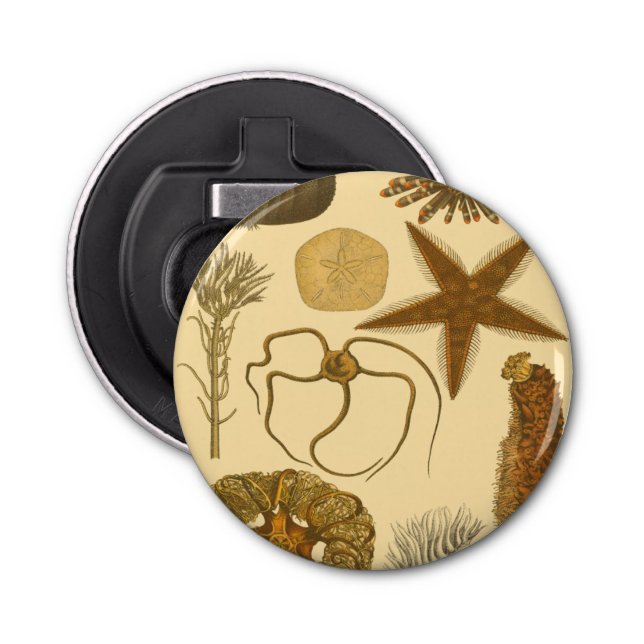 Meereslebewesen Flaschenöffner (Vorderseite)