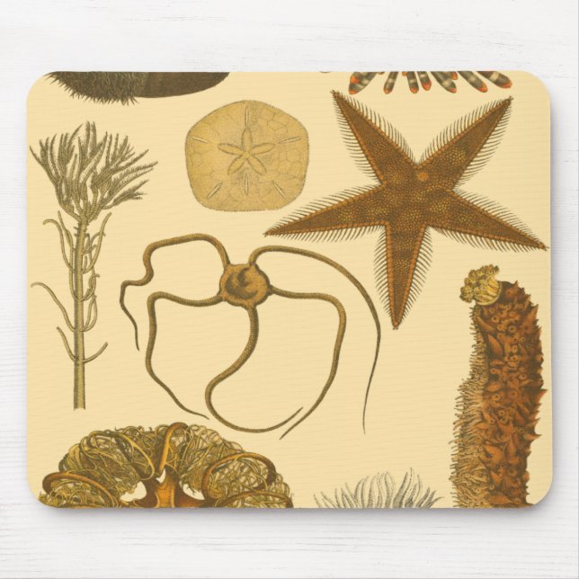 Meereslebewesen Mousepad (Vorne)