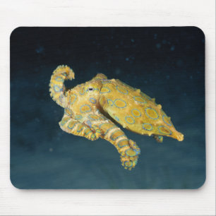Meereslebewesen - Oktopus Mousepad