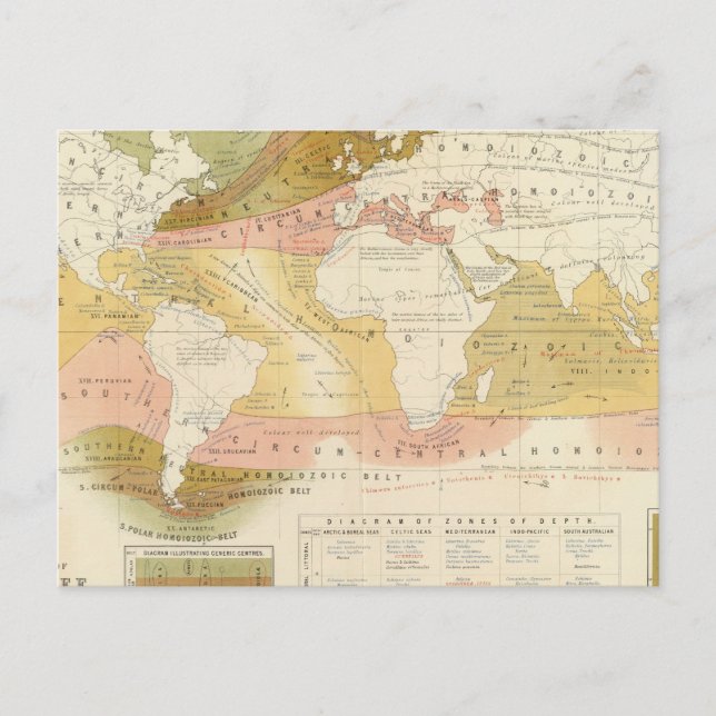 Meereslebewesen Postkarte (Vorderseite)