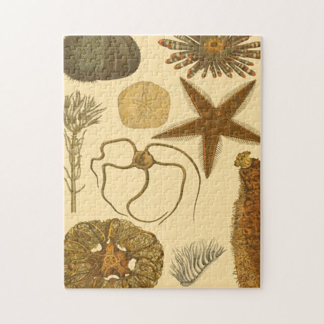 Meereslebewesen Puzzle (Vertikal)