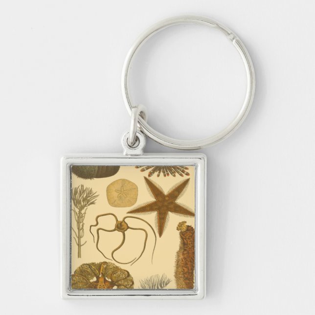 Meereslebewesen Schlüsselanhänger (Vorne)