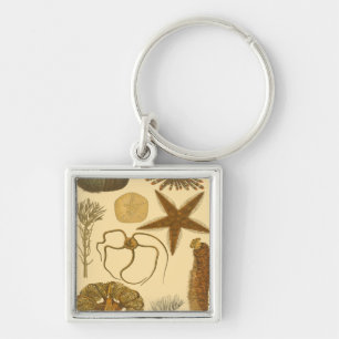 Meereslebewesen Schlüsselanhänger