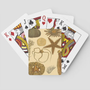 Meereslebewesen Spielkarten