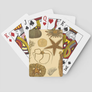 Meereslebewesen Spielkarten