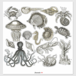 Meereslebewesen Transparente Vinyl Stickers Aufkleber