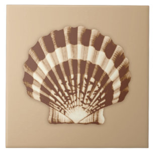 Meeresmuschel - braun und beige fliese