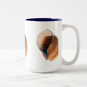 Meeresmuschel Vintage Zweifarbige Tasse