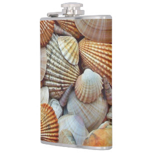 Meeresmuscheln Flachmann