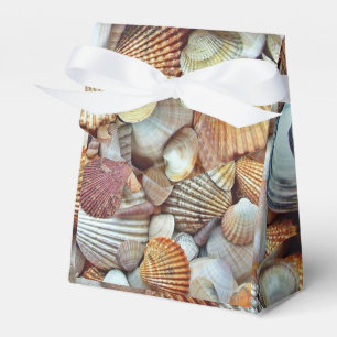 Meeresmuscheln Geschenkschachtel