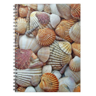 Meeresmuscheln Notizblock