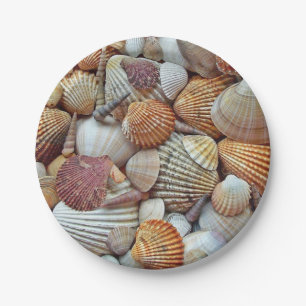 Meeresmuscheln Pappteller