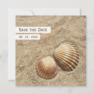 Meeresmuscheln - Save-the-Date-Ankündigung Save The Date