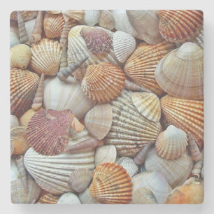 Meeresmuscheln Steinuntersetzer