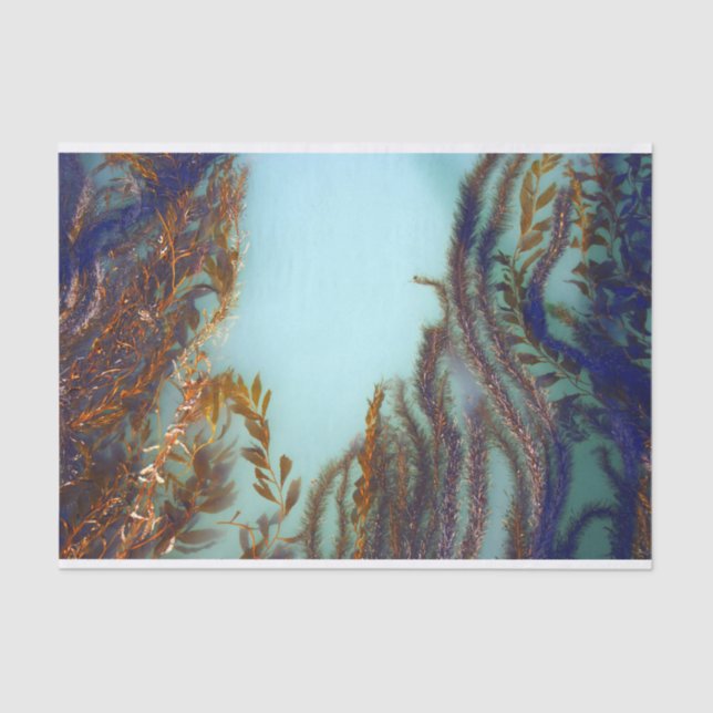 Meerespflanze-Seidenpapier Seidenpapier (Vorderseite)