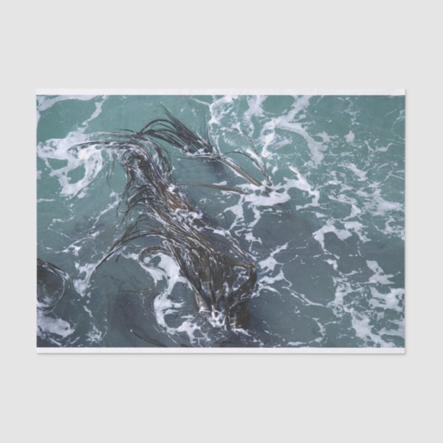 Meerespflanze-Seidenpapier Seidenpapier (Vorderseite)